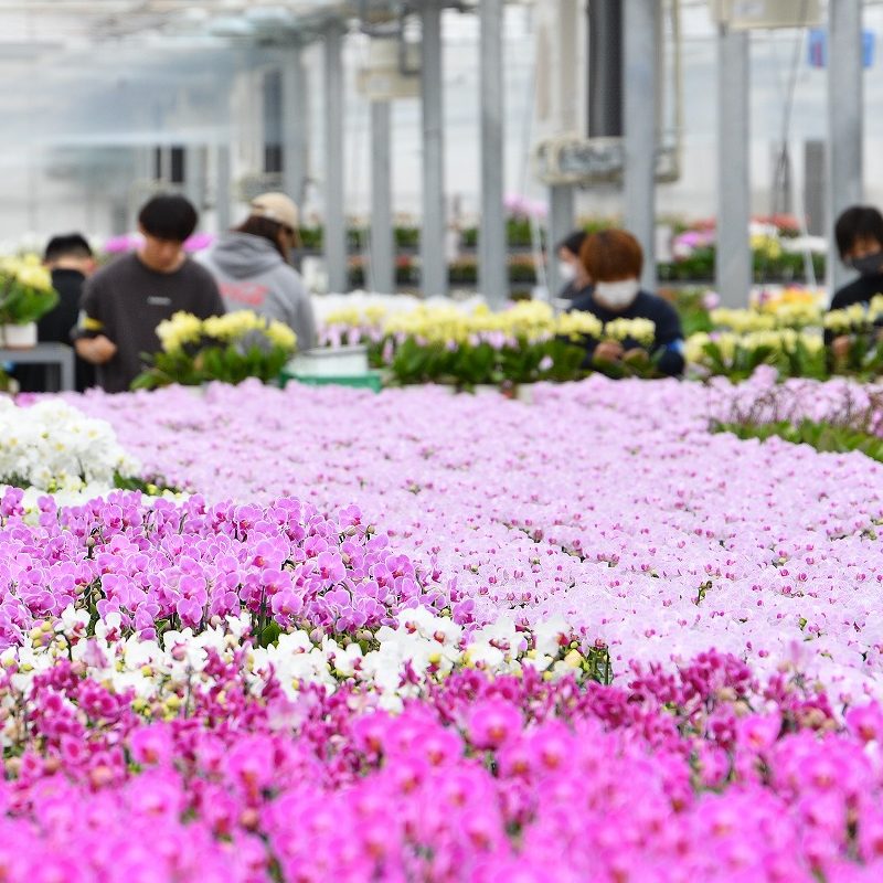 株式会社リーフ 採用 株式会社リーフ 採用